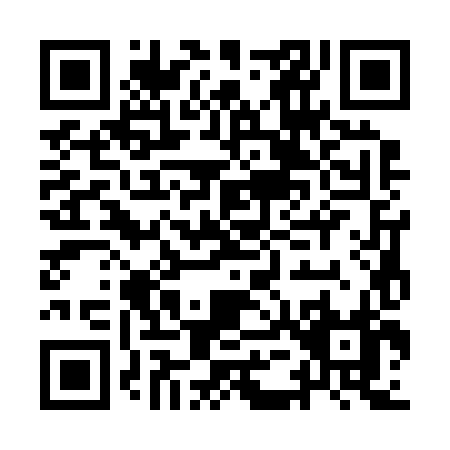 QR code for IE328
