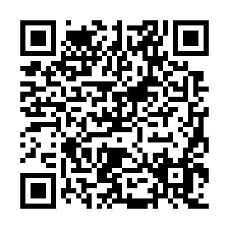 QR code for IE374
