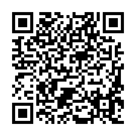 QR code for IE509