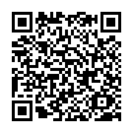 QR code for IE55