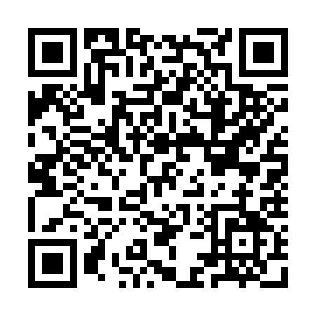 QR code for IE733