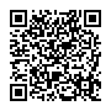 QR code for IE813
