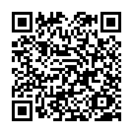 QR code for IE91
