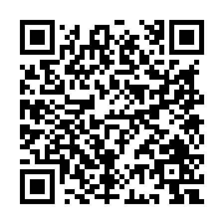 QR code for IG386