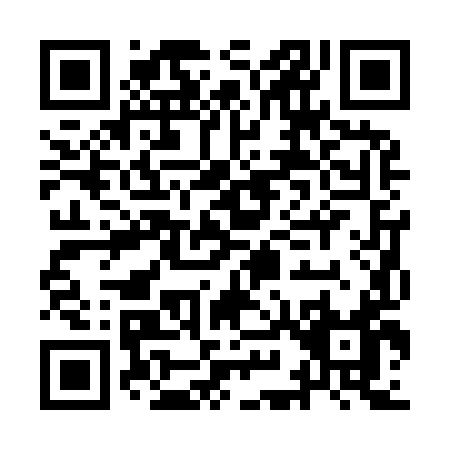 QR code for II299