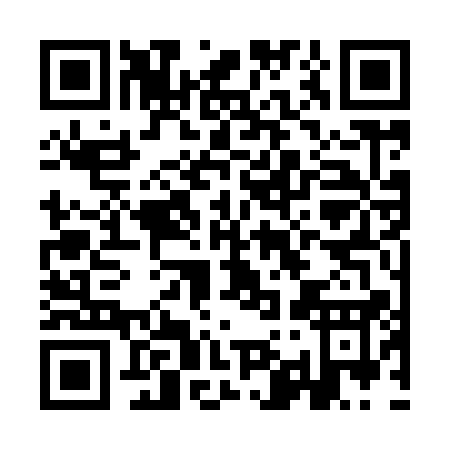 QR code for II391