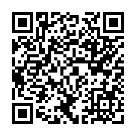 QR code for II398