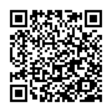 QR code for IJ19