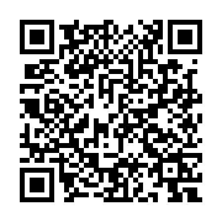 QR code for IN11