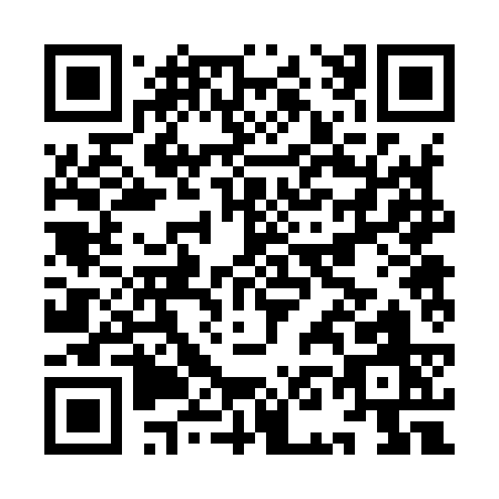 QR code for IN293