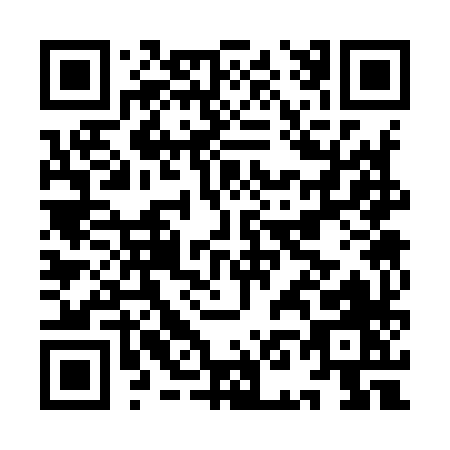 QR code for IN398