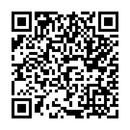QR code for IN733