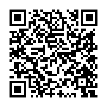 QR code for IP384