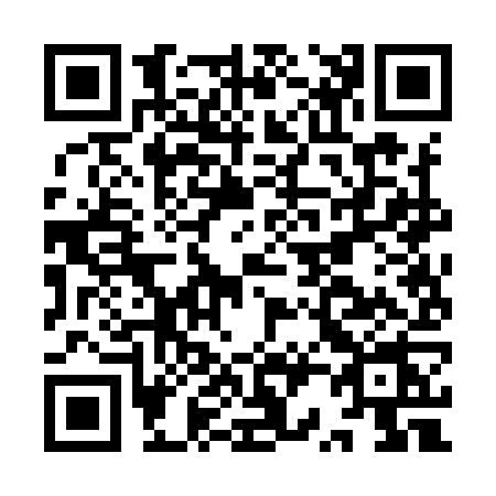 QR code for IR29