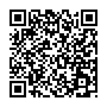 QR code for IR299