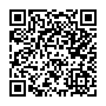 QR code for IR369