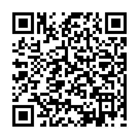 QR code for IR374