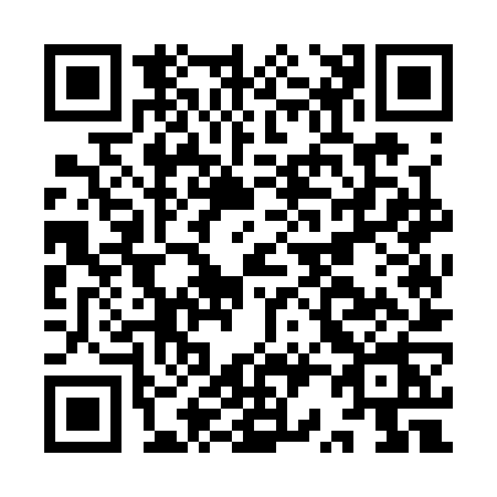 QR code for IR53