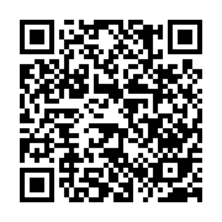 QR code for IR541