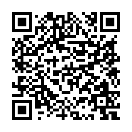 QR code for IS383