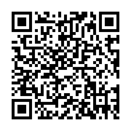 QR code for IT994