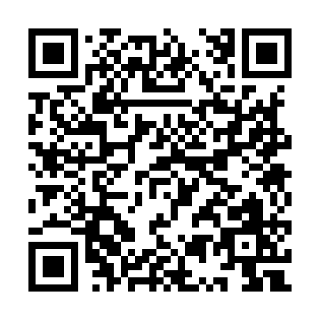QR code for IU391