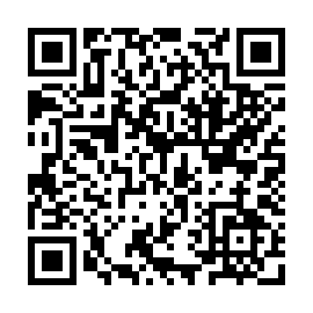 QR code for IV339