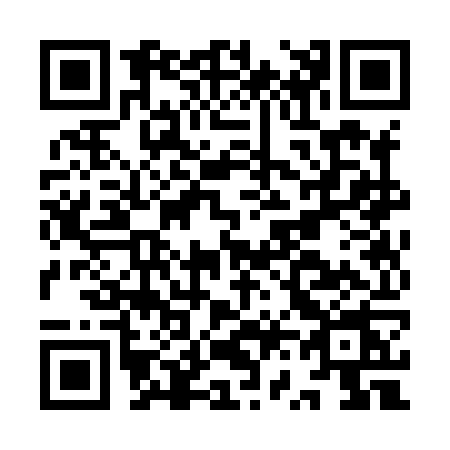 QR code for IV38