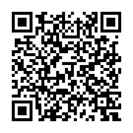 QR code for IV81