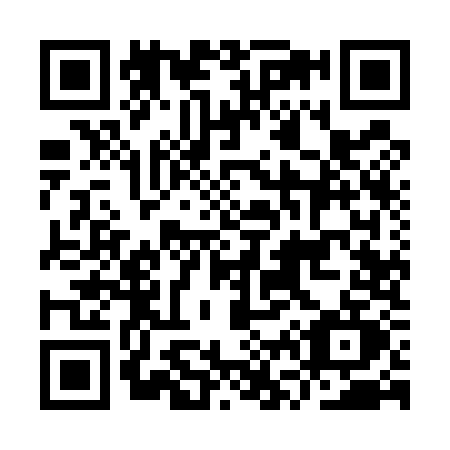 QR code for IV95