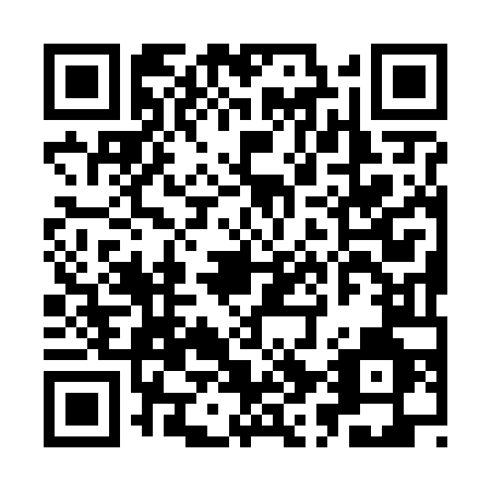 QR code for IV96