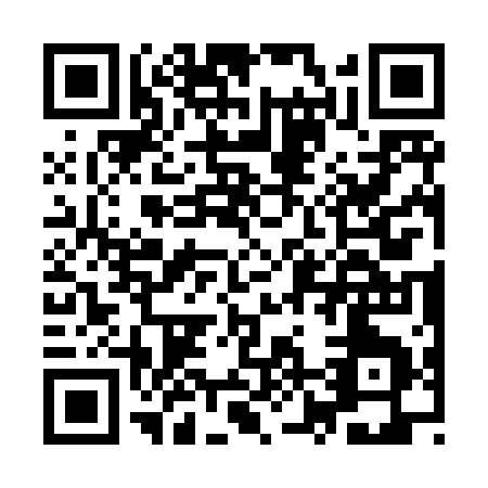 QR code for IZ381