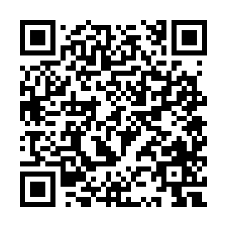 QR code for IZ738