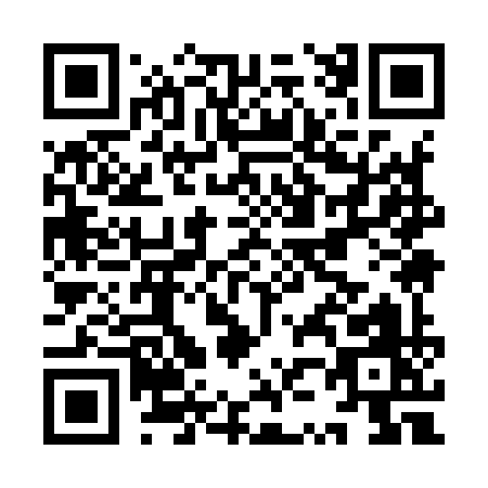 QR code for IZ999