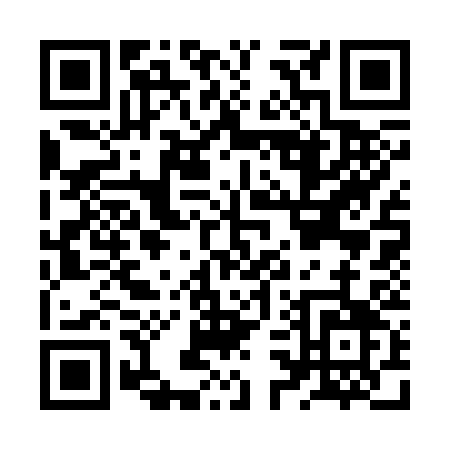 QR code for JS333