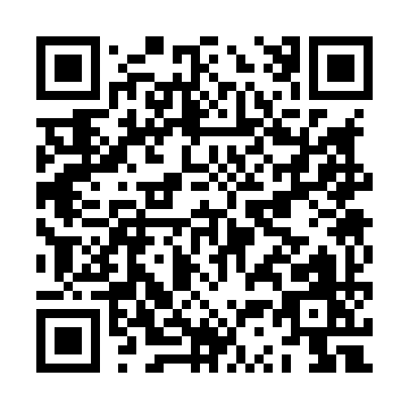QR code for JS389