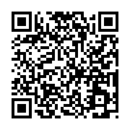 QR code for JS397