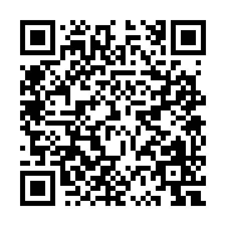 QR code for KV339
