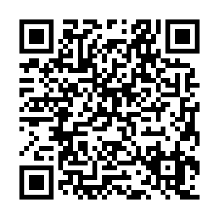 QR code for LG382