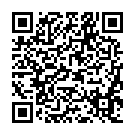 QR code for LG395