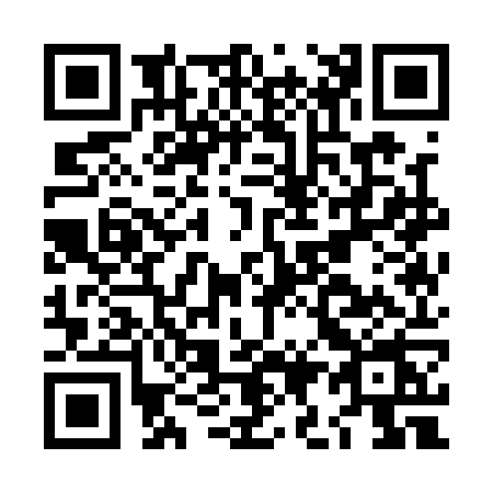 QR code for LI11