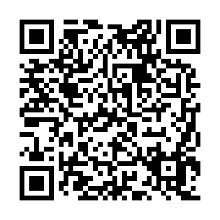 QR code for LI294
