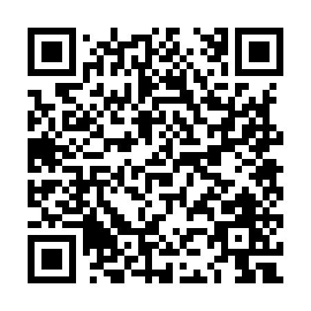 QR code for LJ295