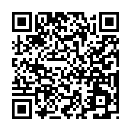QR code for LK385