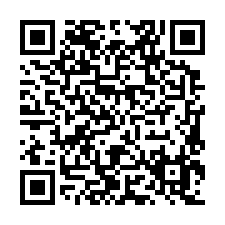QR code for LM538