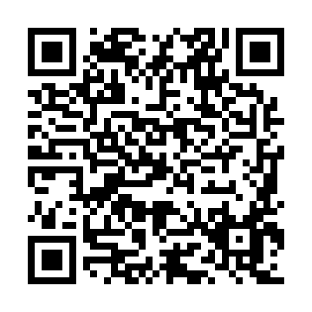 QR code for LM919