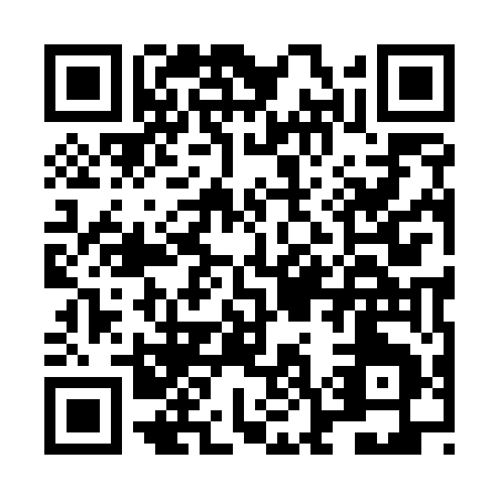 QR code for LO955