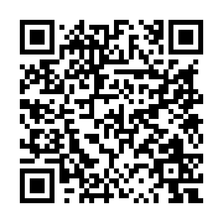 QR code for LR383