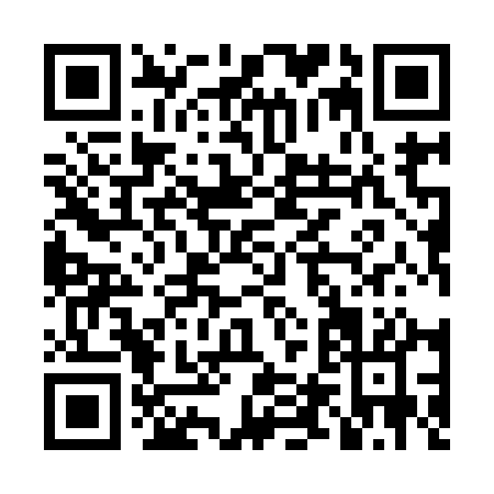 QR code for LT991