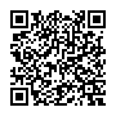 QR code for LV11